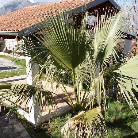 Elizabet Villa Podgorica