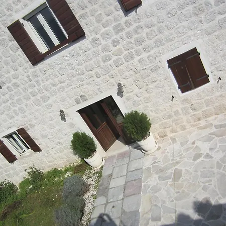 Elizabet Podgorica