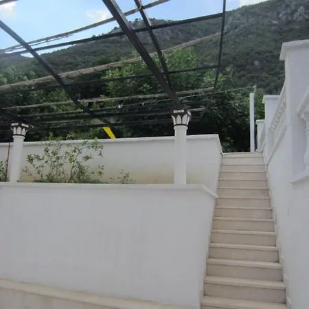 Elizabet Villa *